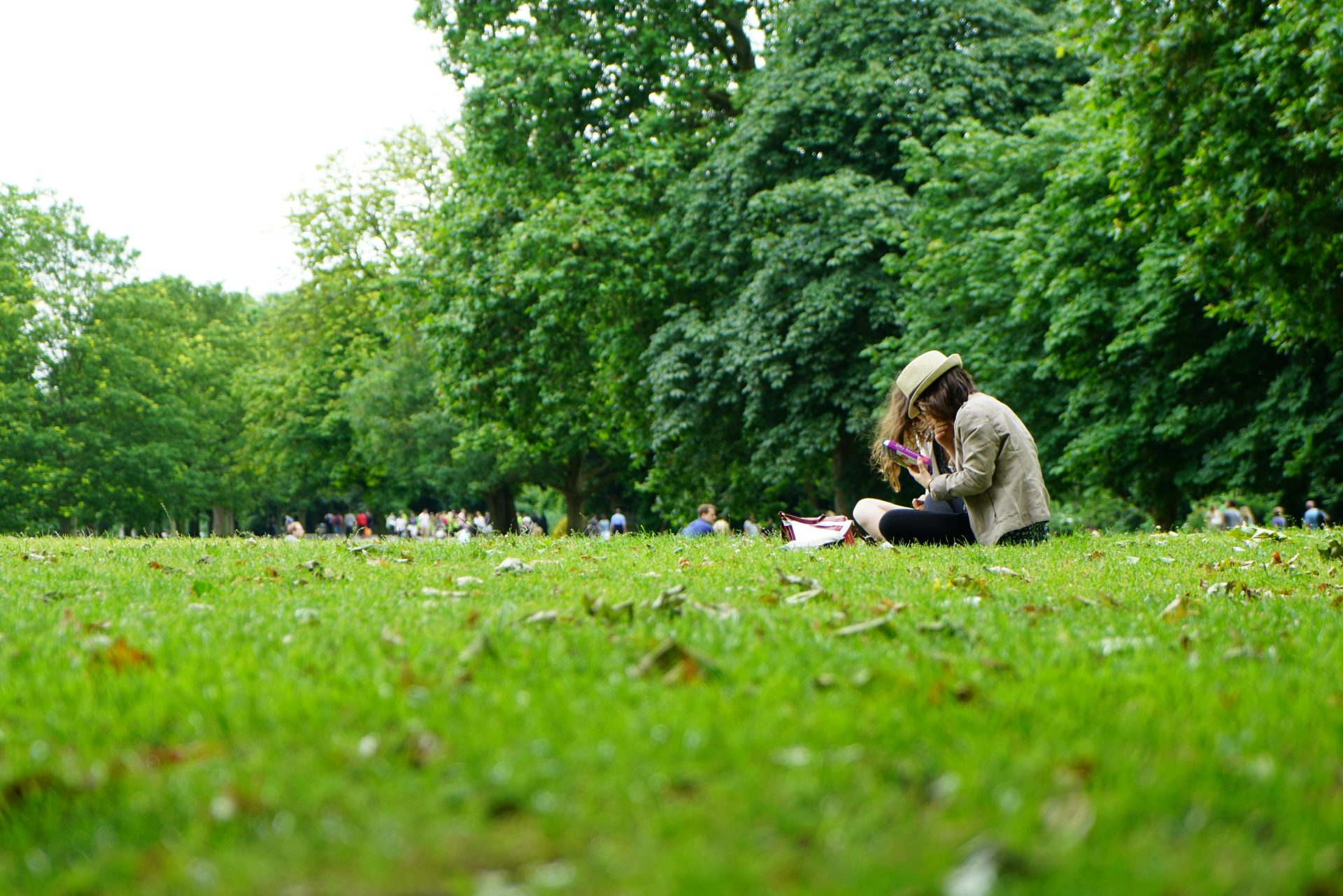 Parco della Magana