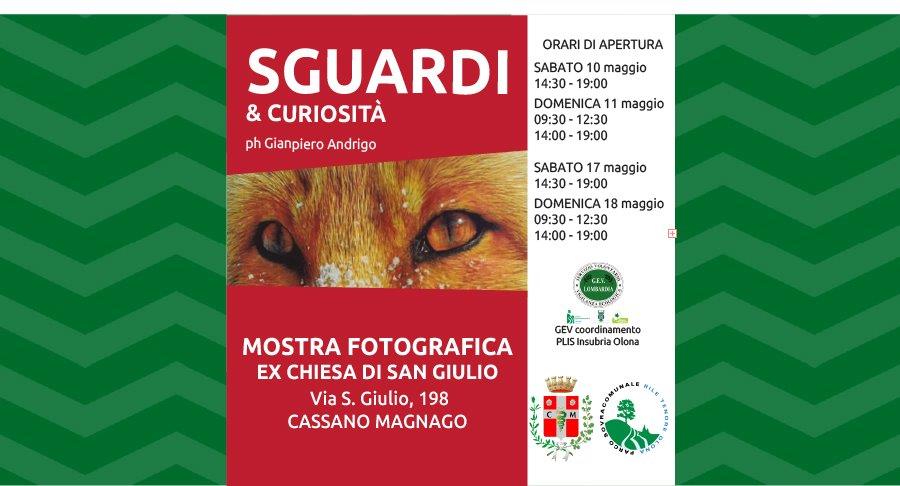 news_202505_SguardiAndCuriosita immagine