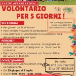 Immagine della card