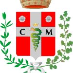 Immagine della card